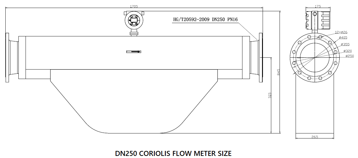 10 inch coriolis flow meter size
