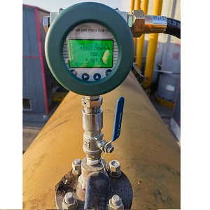 Débitmètre de biogaz