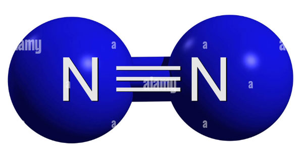 Caractéristiques de l'azote gazeux Characteristics of Nitrogen Gas